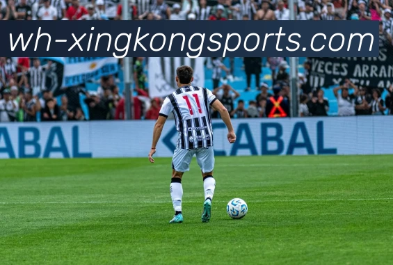 多媒体互动体验